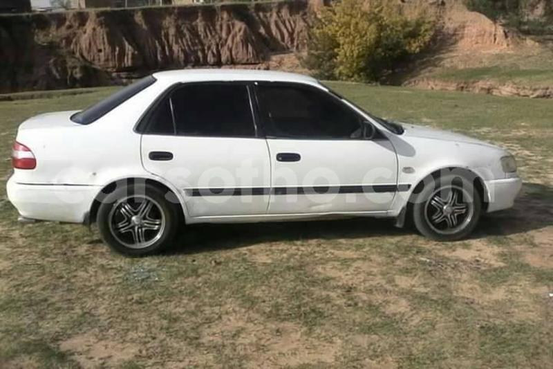 Big with watermark 63985110 144125896660883 1600887478342909952 n