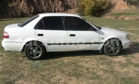 Acheter Occasion Voiture Toyota Corolla Blanc à Maseru, Maseru Acheter Occasion Voiture Toyota Corolla Blanc à Maseru, Maseru