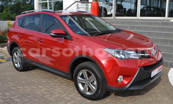 اشتري مستعمل Toyota RAV4 Red سيارة في Mohale's Hoek في Mohale's Hoek اشتري مستعمل Toyota RAV4 Red سيارة في Mohale's Hoek في Mohale's Hoek