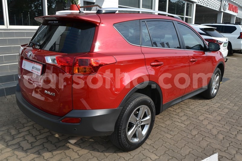 Big with watermark 13