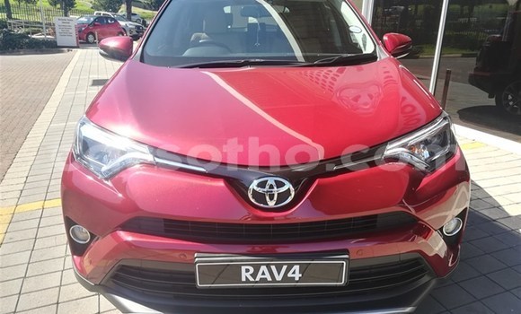 اشتري مستعمل Toyota RAV4 Red سيارة في Mohale's Hoek في Mohale's Hoek اشتري مستعمل Toyota RAV4 Red سيارة في Mohale's Hoek في Mohale's Hoek