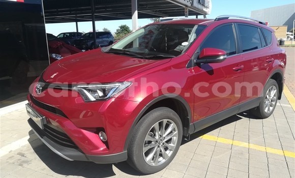 اشتري مستعمل Toyota RAV4 Red سيارة في Mohale's Hoek في Mohale's Hoek اشتري مستعمل Toyota RAV4 Red سيارة في Mohale's Hoek في Mohale's Hoek