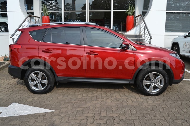 Big with watermark 4