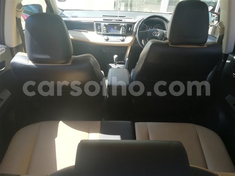 Big with watermark 6