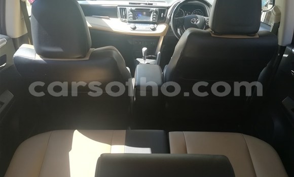 اشتري مستعمل Toyota RAV4 Red سيارة في Mohale's Hoek في Mohale's Hoek اشتري مستعمل Toyota RAV4 Red سيارة في Mohale's Hoek في Mohale's Hoek