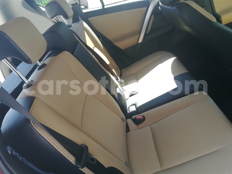 Big with watermark 7