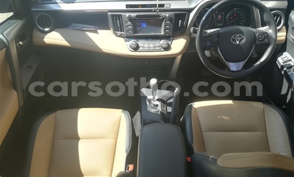 اشتري مستعمل Toyota RAV4 Red سيارة في Mohale's Hoek في Mohale's Hoek اشتري مستعمل Toyota RAV4 Red سيارة في Mohale's Hoek في Mohale's Hoek
