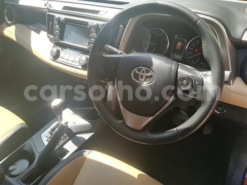 Big with watermark 10