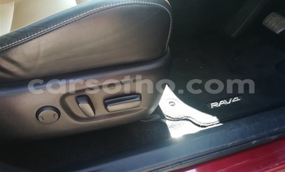 اشتري مستعمل Toyota RAV4 Red سيارة في Mohale's Hoek في Mohale's Hoek اشتري مستعمل Toyota RAV4 Red سيارة في Mohale's Hoek في Mohale's Hoek
