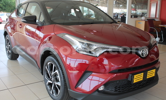 Acheter Occasion Voiture Toyota C-HR Rouge à Maputsoe, Leribe Acheter Occasion Voiture Toyota C-HR Rouge à Maputsoe, Leribe