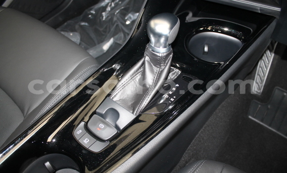 Acheter Occasion Voiture Toyota C-HR Rouge à Maputsoe, Leribe Acheter Occasion Voiture Toyota C-HR Rouge à Maputsoe, Leribe