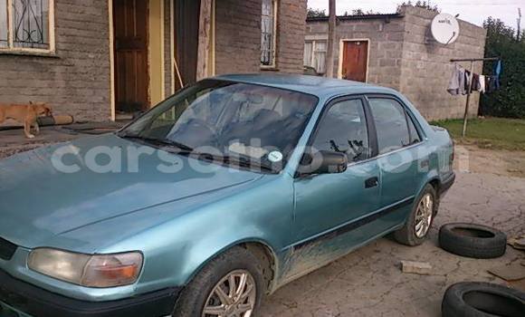 Buy Used Toyota Corolla Other Car in Maseru in Maseru Buy Used Toyota Corolla Other Car in Maseru in Maseru