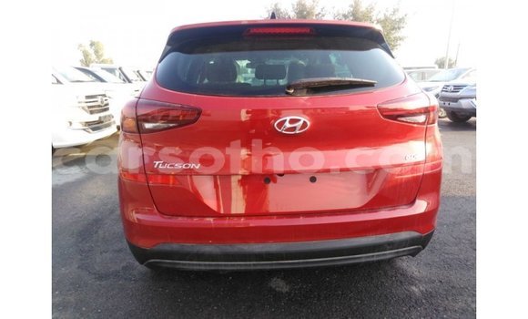 Sayi Imported Hyundai Tucson Red Mota in Import - Dubai a Maseru Sayi Imported Hyundai Tucson Red Mota in Import - Dubai a Maseru