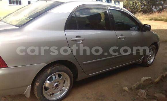 Buy Used Toyota Corolla Silver Car in Maseru in Maseru Buy Used Toyota Corolla Silver Car in Maseru in Maseru