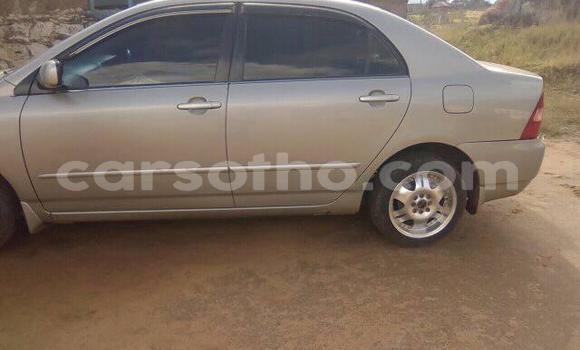 Sayi Na hannu Toyota Corolla Silver Mota in Maseru a Maseru Sayi Na hannu Toyota Corolla Silver Mota in Maseru a Maseru
