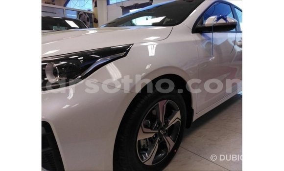 Sayi Imported Kia Cerato White Mota in Import - Dubai a Maseru Sayi Imported Kia Cerato White Mota in Import - Dubai a Maseru