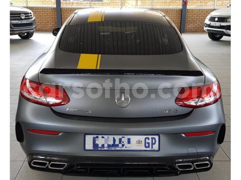 Big with watermark crop800x600 10