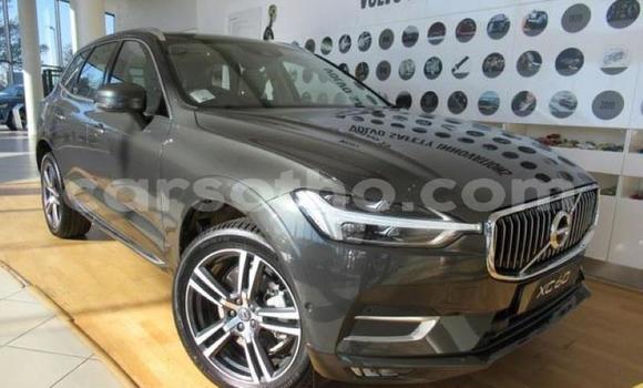 Acheter Occasion Voiture Volvo XC60 Blanc à Hlotse, Leribe Acheter Occasion Voiture Volvo XC60 Blanc à Hlotse, Leribe
