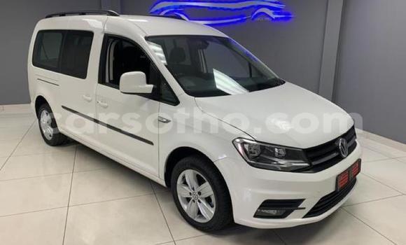 Acheter Occasion Voiture Volkswagen Caddy Blanc à Mokhotlong, Berea Acheter Occasion Voiture Volkswagen Caddy Blanc à Mokhotlong, Berea
