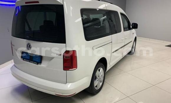 Acheter Occasion Voiture Volkswagen Caddy Blanc à Mokhotlong, Berea Acheter Occasion Voiture Volkswagen Caddy Blanc à Mokhotlong, Berea