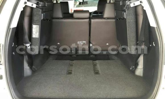 Buy Used Toyota Fortuner White Car in Maseru in Maseru Buy Used Toyota Fortuner White Car in Maseru in Maseru