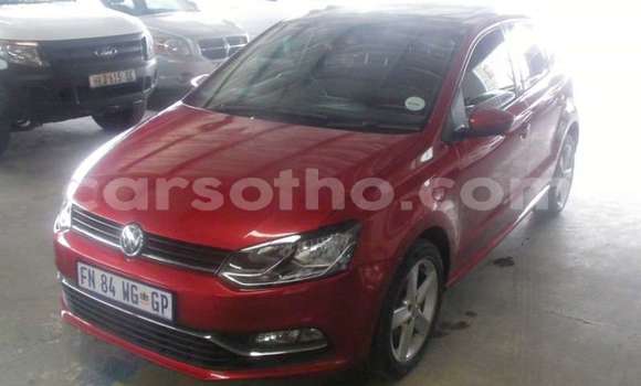 اشتري مستعمل Volkswagen Polo Other سيارة في Maseru في Maseru اشتري مستعمل Volkswagen Polo Other سيارة في Maseru في Maseru