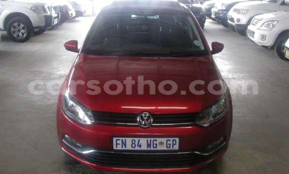 اشتري مستعمل Volkswagen Polo Other سيارة في Maseru في Maseru اشتري مستعمل Volkswagen Polo Other سيارة في Maseru في Maseru