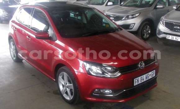 اشتري مستعمل Volkswagen Polo Other سيارة في Maseru في Maseru اشتري مستعمل Volkswagen Polo Other سيارة في Maseru في Maseru