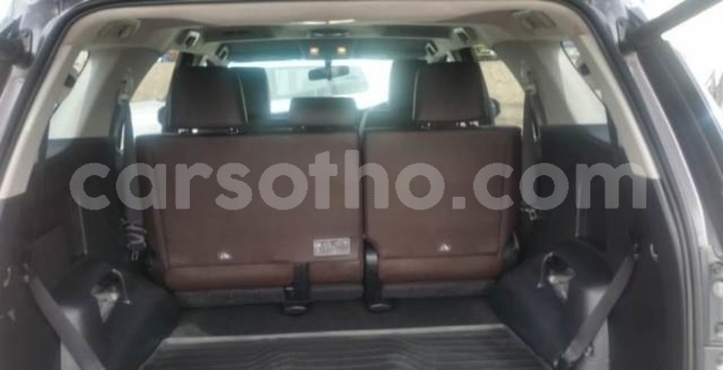 Big with watermark 11