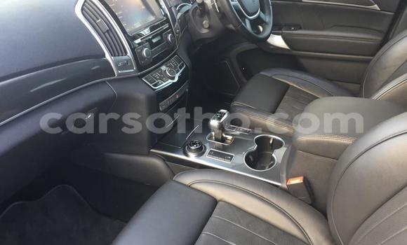 اشتري مستعمل Haval H9 Other سيارة في Maputsoe في Leribe اشتري مستعمل Haval H9 Other سيارة في Maputsoe في Leribe