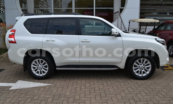 اشتري مستعمل Toyota Prado White سيارة في Maputsoe في Leribe اشتري مستعمل Toyota Prado White سيارة في Maputsoe في Leribe