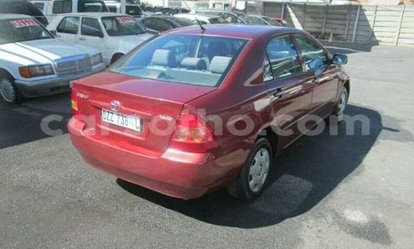 Acheter Occasion Voiture Toyota Corolla Rouge à Maseru, Maseru Acheter Occasion Voiture Toyota Corolla Rouge à Maseru, Maseru