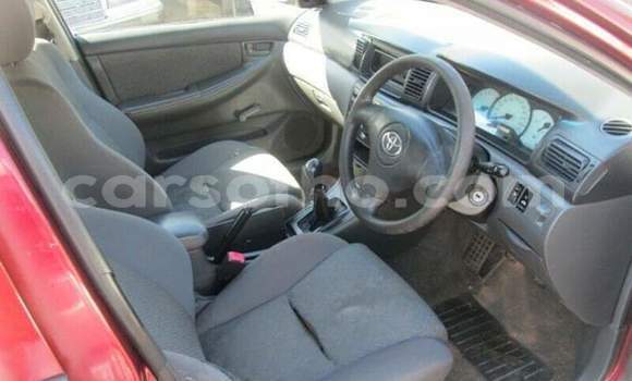 Acheter Occasion Voiture Toyota Corolla Rouge à Maseru, Maseru Acheter Occasion Voiture Toyota Corolla Rouge à Maseru, Maseru