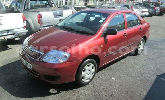 Acheter Occasion Voiture Toyota Corolla Rouge à Maseru, Maseru Acheter Occasion Voiture Toyota Corolla Rouge à Maseru, Maseru