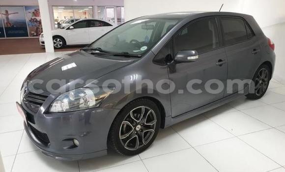 Buy Used Toyota Auris Other Car in Maseru in Maseru Buy Used Toyota Auris Other Car in Maseru in Maseru