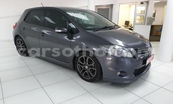 Buy Used Toyota Auris Other Car in Maseru in Maseru Buy Used Toyota Auris Other Car in Maseru in Maseru