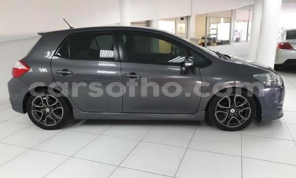 Buy Used Toyota Auris Other Car in Maseru in Maseru Buy Used Toyota Auris Other Car in Maseru in Maseru