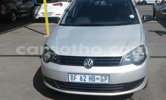 Acheter Occasion Voiture Volkswagen Polo Gris à Maseru, Maseru Acheter Occasion Voiture Volkswagen Polo Gris à Maseru, Maseru