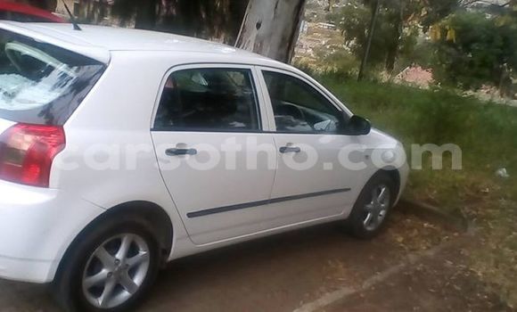 Buy Used Toyota Runx White Car in Maseru in Maseru Buy Used Toyota Runx White Car in Maseru in Maseru
