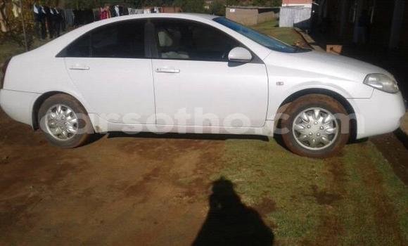 Buy Used Nissan Primera White Car in Maseru in Maseru Buy Used Nissan Primera White Car in Maseru in Maseru