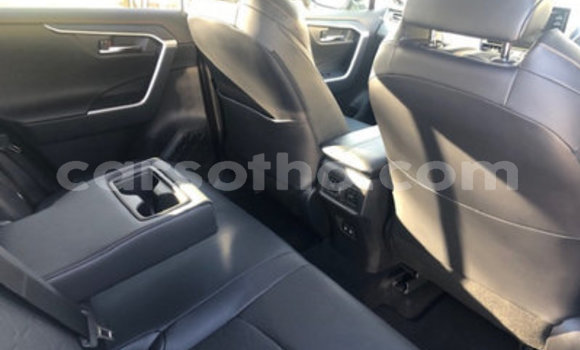 اشتري مستعمل Toyota RAV4 Other سيارة في Maseru في Maseru اشتري مستعمل Toyota RAV4 Other سيارة في Maseru في Maseru