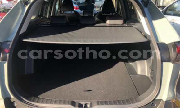 اشتري مستعمل Toyota RAV4 Other سيارة في Maseru في Maseru اشتري مستعمل Toyota RAV4 Other سيارة في Maseru في Maseru