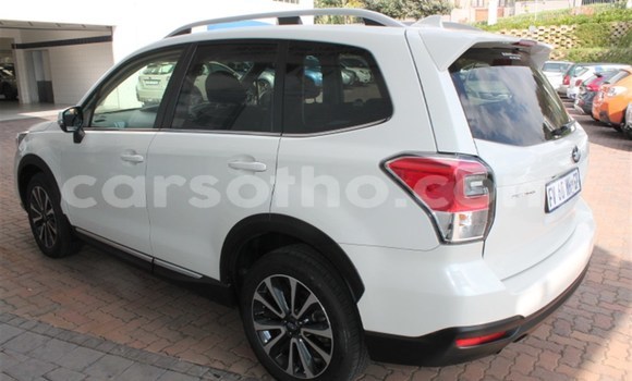 اشتري مستعمل Subaru Forester White سيارة في Maputsoe في Leribe اشتري مستعمل Subaru Forester White سيارة في Maputsoe في Leribe