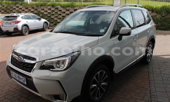 اشتري مستعمل Subaru Forester White سيارة في Maputsoe في Leribe اشتري مستعمل Subaru Forester White سيارة في Maputsoe في Leribe