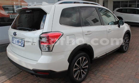 اشتري مستعمل Subaru Forester White سيارة في Maputsoe في Leribe اشتري مستعمل Subaru Forester White سيارة في Maputsoe في Leribe