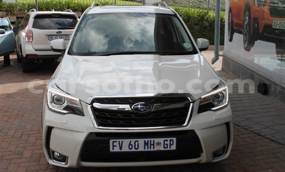 اشتري مستعمل Subaru Forester White سيارة في Maputsoe في Leribe اشتري مستعمل Subaru Forester White سيارة في Maputsoe في Leribe