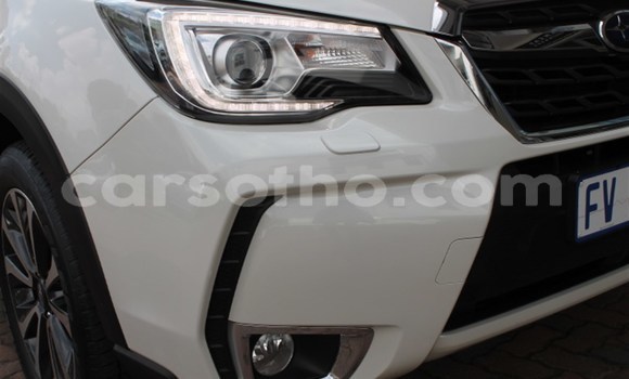 اشتري مستعمل Subaru Forester White سيارة في Maputsoe في Leribe اشتري مستعمل Subaru Forester White سيارة في Maputsoe في Leribe