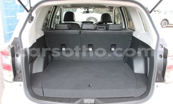 اشتري مستعمل Subaru Forester White سيارة في Maputsoe في Leribe اشتري مستعمل Subaru Forester White سيارة في Maputsoe في Leribe