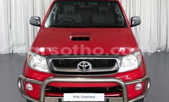 اشتري مستعمل Toyota Hilux Red سيارة في Maseru في Maseru اشتري مستعمل Toyota Hilux Red سيارة في Maseru في Maseru