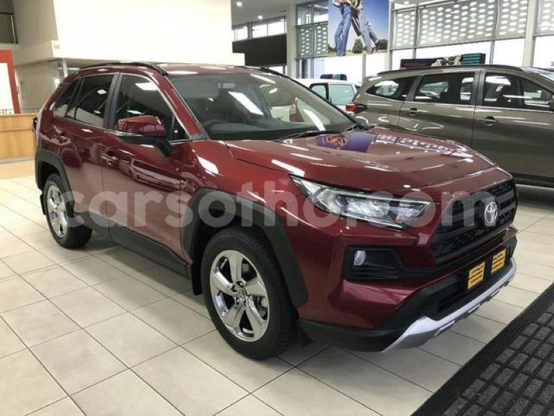 Big with watermark 2